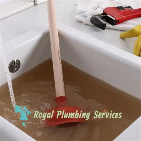 What Causes Clogged Drains And How To Prevent Them Royal Plumbing