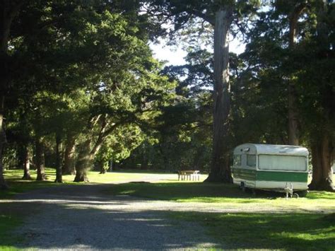 Greytown Campground Updated 2017 Reviews And Price Comparison Tripadvisor