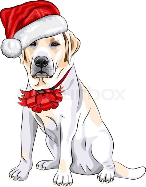Select from premium christmas dog drawing images of the highest quality. Vector dog Labrador in the hat of ... | Stock Vector ...
