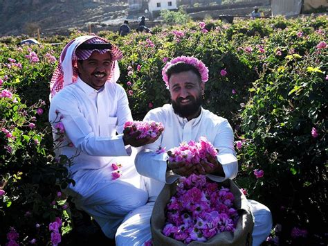 In Pictures Taif Saudi Arabias City Of Roses News Photos Gulf News