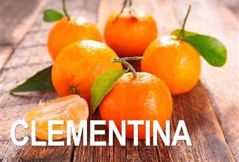 Mandarina Clementina - Entre Rios S.A.S.