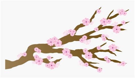 Cherry Blossom Blossoms Japanese Branch Cherry Japan Cherry Blossom Cartoon Hd Png