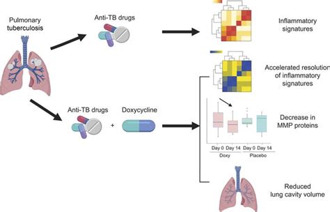 jci doxycycline host directed therapy in human pulmonary tuberculosis