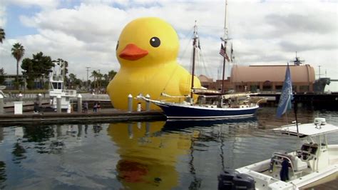 Giant Rubber Ducks Move Causes Concern Abc7 Los Angeles