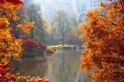 Autumn Central Park New York Wallpapers Wallpaper Cave