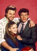 Whatever Happened to the Cast of 'My Two Dads'? What They're Up To