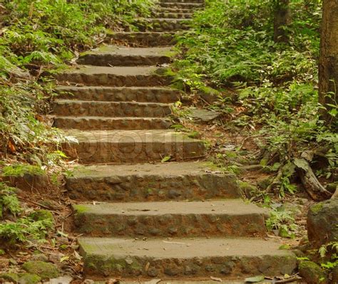 Stone Stairs In A Forest Stock Image Colourbox