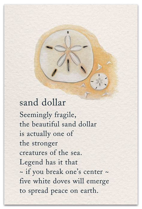 Sand Dollar Birthday Card Words Quotes Symbols