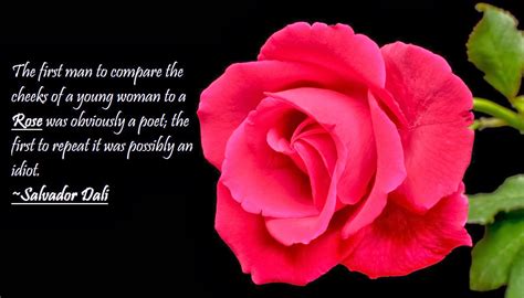 Red Rose For Friend Quotes Quotesgram