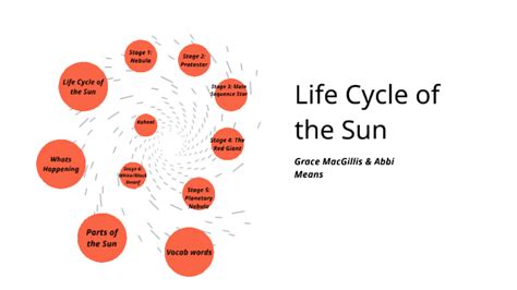 Life Cycle Of The Sun By Abigail Means