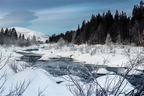 Winter Landscape With Unfrozen River In Russian Lapland Kola Peninsula