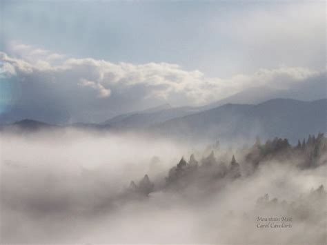 Mountain Mist Mixed Media By Carol Cavalaris Fine Art America