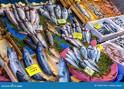 A Fish Store With Variety Of Fishes And Sellers In Public Market