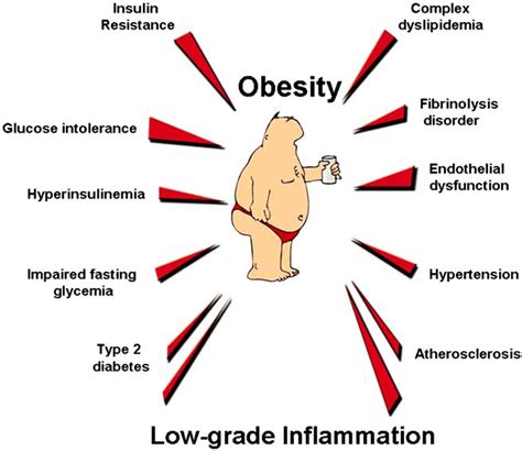 Obesity And Associated Metabolic Disorders Download Scientific Diagram