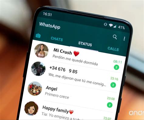 ¿qué Significa Crush En El Whatsapp Haras Dadinco