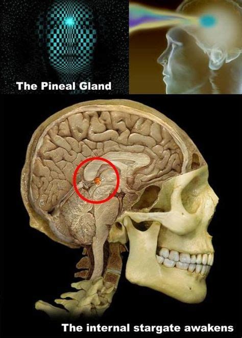 58 Best The 3rd Eye 6th Chakra Pineal Gland Seat Of The Soul