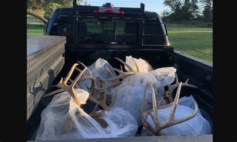 Michigan Man Faces 15 Deer Poaching Charges
