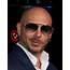 Pitbull Net Worth 2020  How Much Is He FotoLog