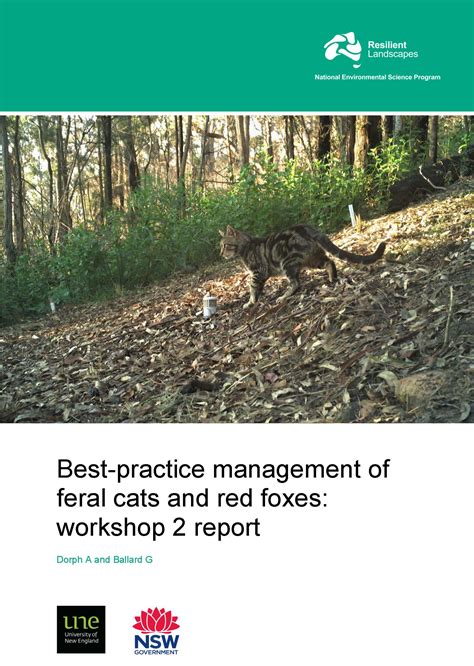 Combining Feral Cat Management Practices Nesp Resilient Landscapes Hub