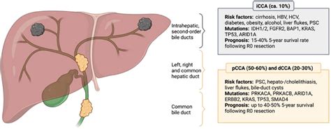 Frontiers Clinical Management Of Intrahepatic Cholangiocarcinoma