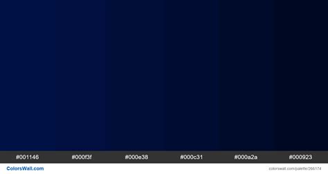 Navy Blue Shades Colors Palette Colorswall