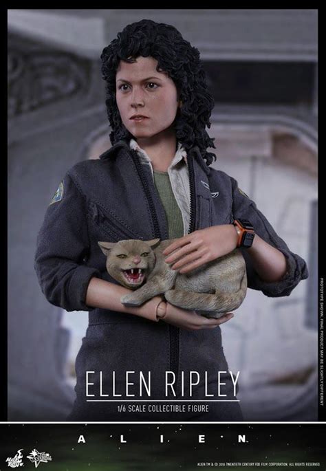 Hot Toys Alien Th Scale Ellen Ripley Collectible Figure The Fwoosh Ellen Ripley Hot