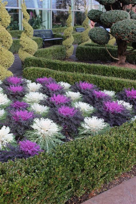 8 Best Impressive Sun Perennials Front Yard Ideas For Wonderful Garden