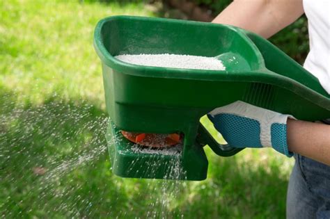 What Does Lime Do For Your Lawn Step By Step Procedure