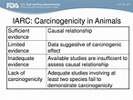 PPT - Carcinogen Classification Criteria Patricia Richter ...