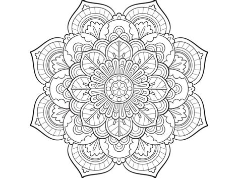 Vier schmetterlinge und eine exotische blume im zentrum der vorlage zieren dieses sommer mandala. Malvorlagen: Mandala