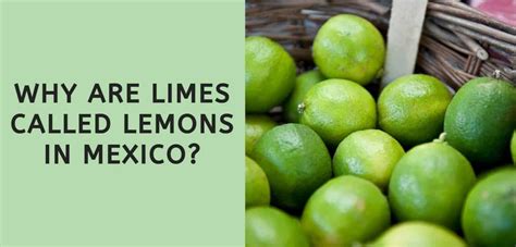 Egg harbor township location 6400 e. Why are Limes Called Lemons in Mexico? (ANSWERED)