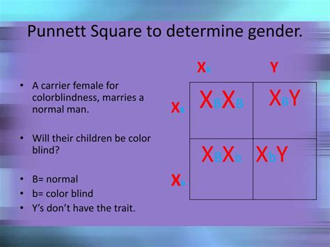 Ppt Lesson Using Punnett Squares And Pedigrees Powerpoint The Best