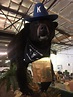 The amazing story of the Cocaine Bear — a bear who ate 34 kilos of ...