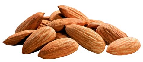 Almond Png Images Free Download
