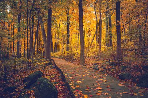 Where Can You See Beautiful Fall Foliage While Hiking On The East Coast