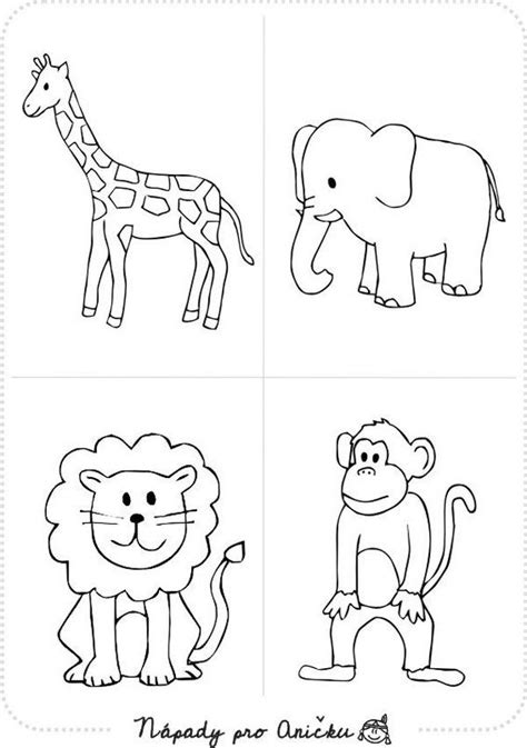 Omalovánky Nápady Pro Aničkucz Animal Coloring Books Safari Baby