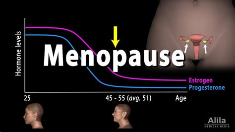 Menopause Perimenopause Symptoms And Management Animation Youtube