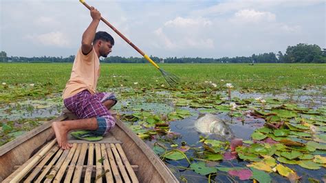 Natural Boat Fishing Moment ️ Best Teta Fishing From Boat ️