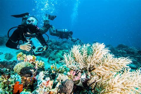 What Is Underwater Photography A Complete Guide