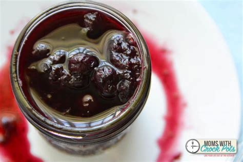 Crockpot Blueberry Syrup Recipe Blueberry Syrup Blueberry Syrup