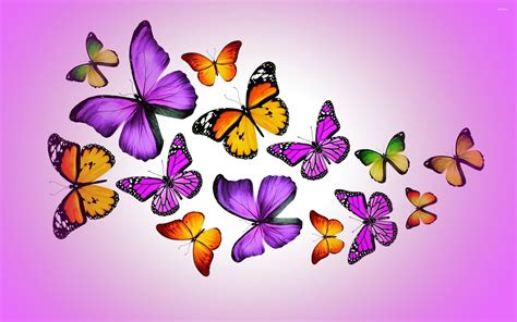 Purple Butterflies Wallpaper 58 Images