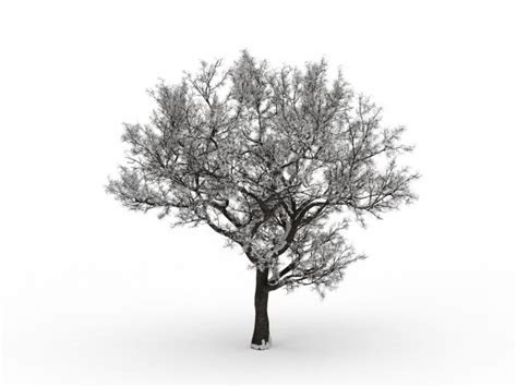 Winter Snow Tree 3d Model 3ds Max Files Free Download