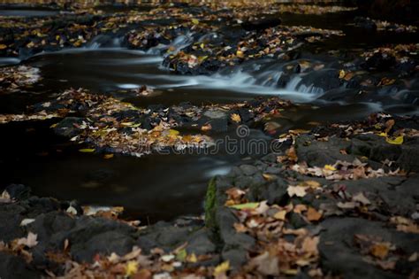 Silky Stream In Autumn Stock Photo Image Of Relaxed 61451976