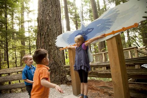 10 Wonder Filled And Kid Friendly Activities In Vancouver Canadian