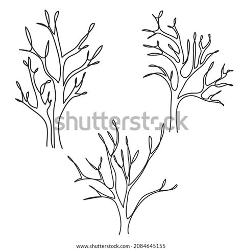 Hand Drawn Tree No Leaves Vector Stock Vector Royalty Free 2084645155