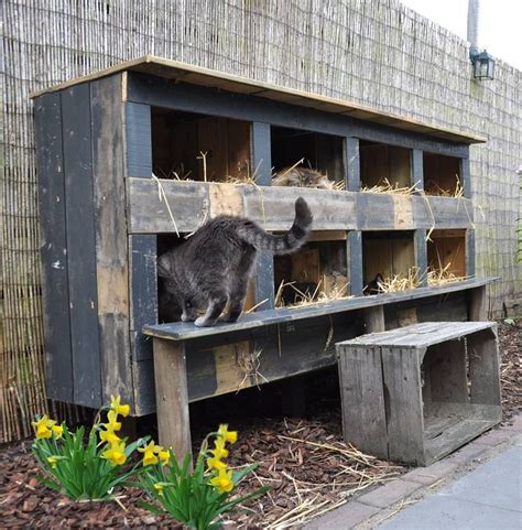 Feral cats may live in a group or colony, usually in an area where they find food and shelter. 15 best Feral Cat Shelters images on Pinterest | Feral cat ...
