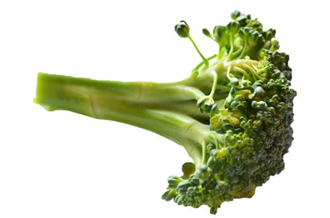 Broccoli Png Image Purepng Free Transparent Cc0 Png Image Library