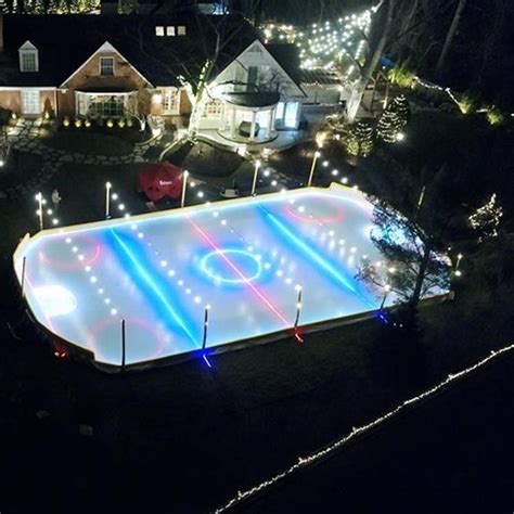 Ice Hockey Rinks Backyard Sports