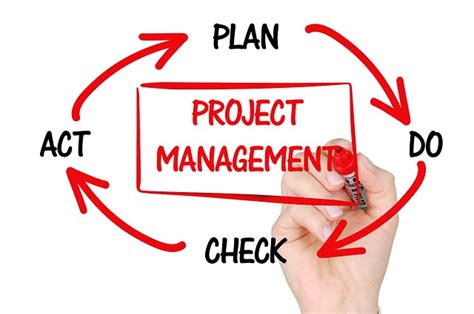 What Makes A Project Manager Successful Hightail Blog