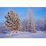 Winter Snow Nature Landscape Wallpapers HD / Desktop And Mobile 
